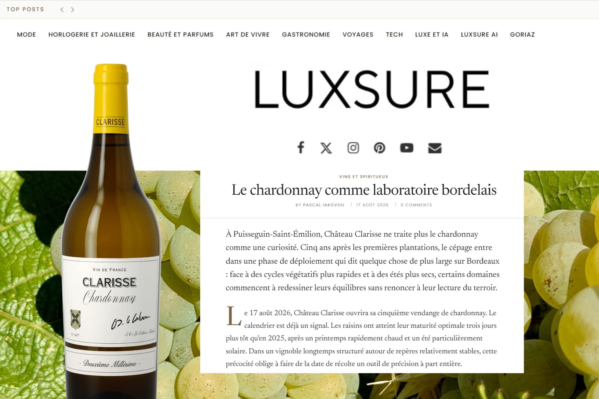 Le chardonnay comme laboratoire bordelais