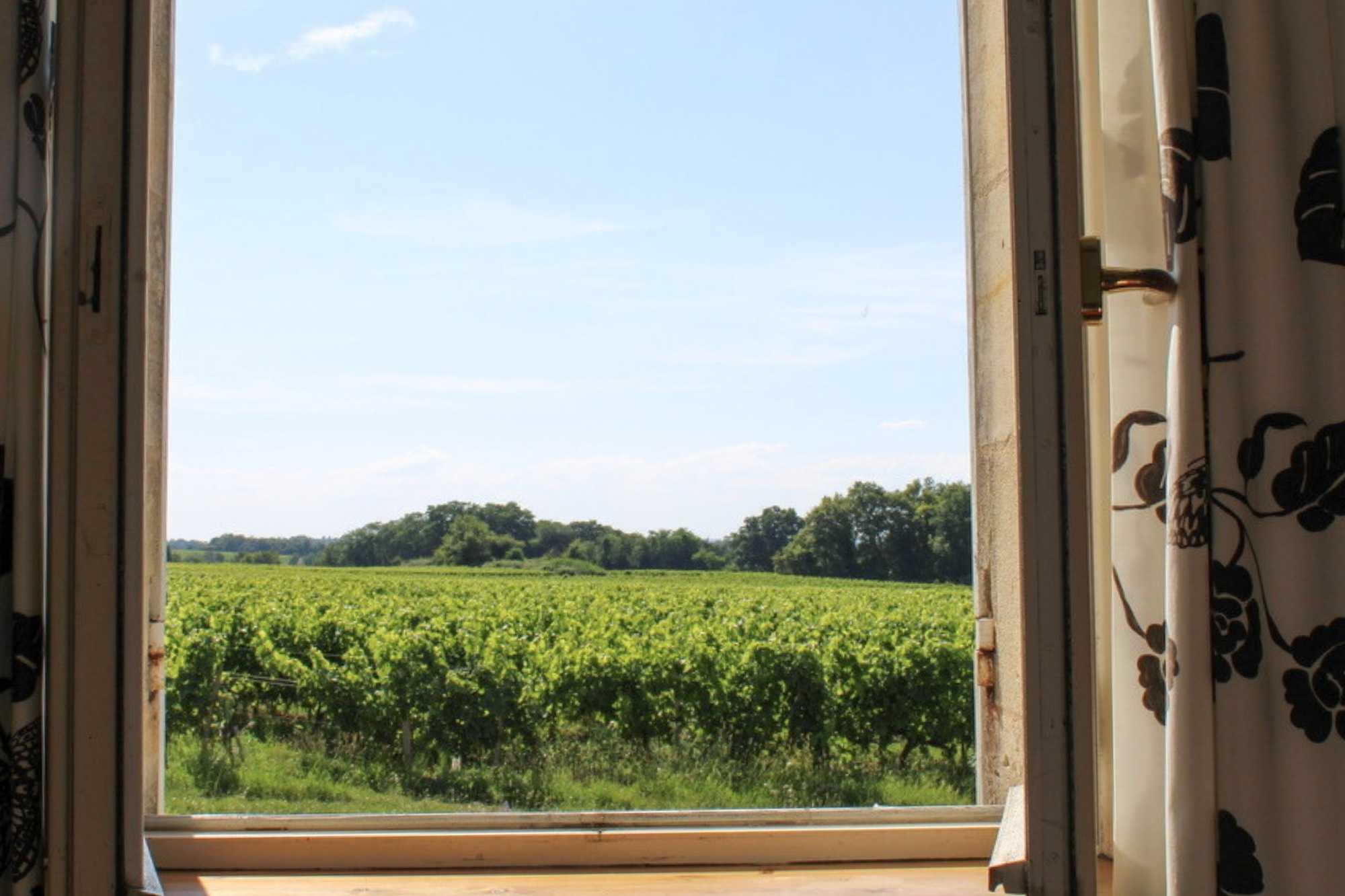 Premium Carménère Room